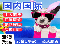 天河机场快运国际宠物托运 【国